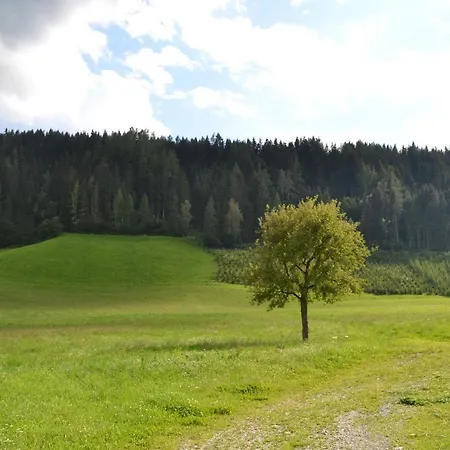 Ertlerhof Apartment *